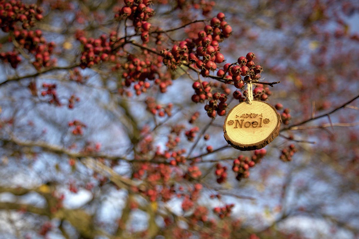 bola de navidad arbol