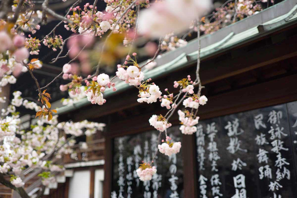 templo japon de madera